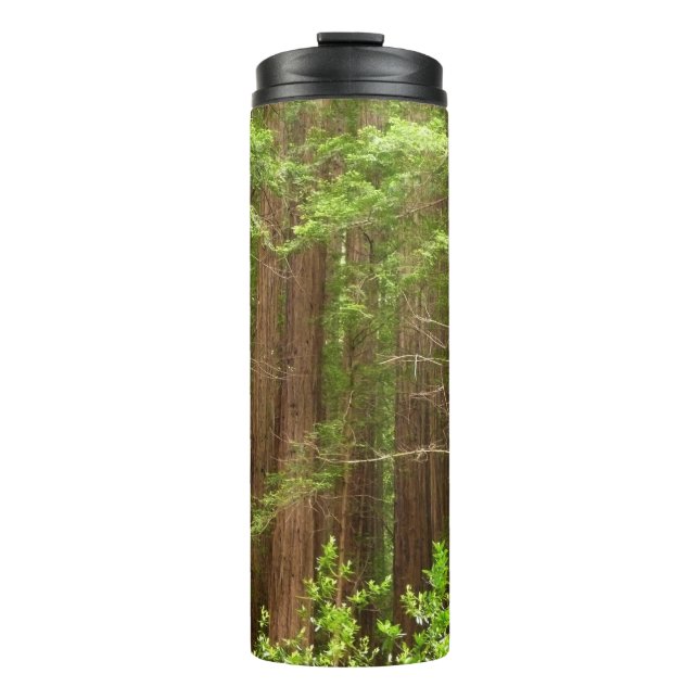 Redwood Trees at Muir Woods National Monument Thermal Tumbler (Front)