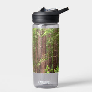Redwood Trees at Muir Woods National Monument Water Bottle