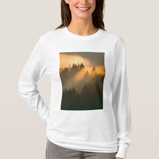 Redwood trees in coastal fog, Marin County, T-Shirt (Front)