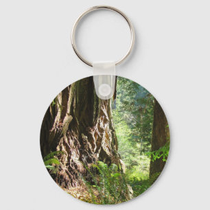 Redwood Trees keychains