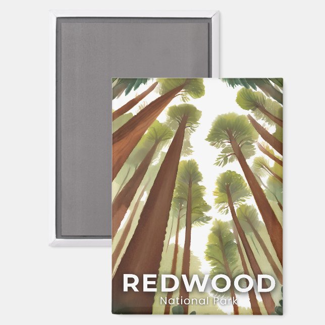Redwood Trees | National Park Watercolor Travel Magnet (Front/Back)