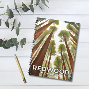 Redwood Trees   National Park Watercolor Travel Notebook