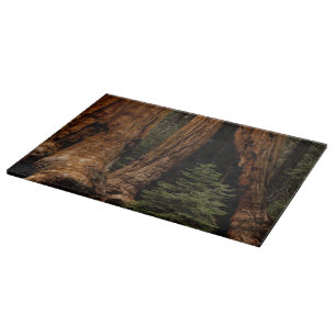 Redwood Trees, Sequoia National Park. Cutting Board