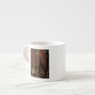 Redwood Trees, Sequoia National Park. Espresso Cup