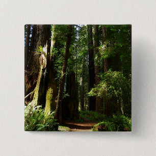 Redwoods and Ferns at Redwood National Park 15 Cm Square Badge