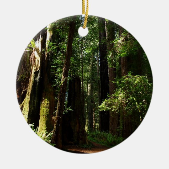 Redwoods and Ferns at Redwood National Park Ceramic Tree Decoration (Front)