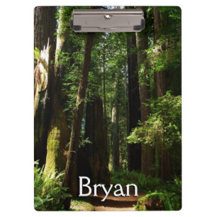 Redwoods and Ferns at Redwood National Park Clipboard