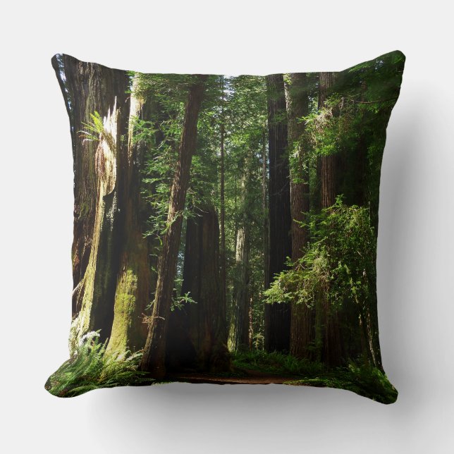 Redwoods and Ferns at Redwood National Park Cushion (Front)