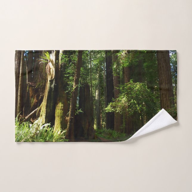 Redwoods and Ferns at Redwood National Park Hand Towel (Hand Towel)