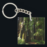 Redwoods and Ferns at Redwood National Park Key Ring<br><div class="desc">The trails at Redwood National Park are typically quite peaceful and serene like the one in this picture. When you walk in Redwood National Park, you are of course surrounded by redwood trees, but also contrasting patches of bright green ferns. This product features the popular wallpaper "Redwoods and Ferns" from...</div>