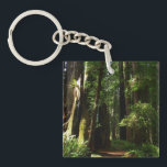 Redwoods and Ferns at Redwood National Park Key Ring<br><div class="desc">The trails at Redwood National Park are typically quite peaceful and serene like the one in this picture. When you walk in Redwood National Park, you are of course surrounded by redwood trees, but also contrasting patches of bright green ferns. This product features the popular wallpaper "Redwoods and Ferns" from...</div>