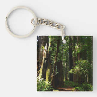 Redwoods and Ferns at Redwood National Park Key Ring