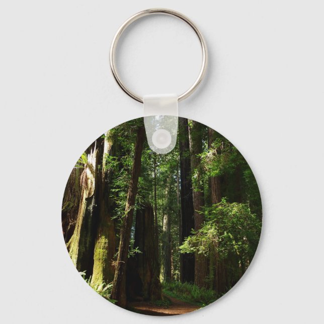 Redwoods and Ferns at Redwood National Park Key Ring (Front)
