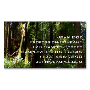 Redwoods and Ferns at Redwood National Park Magnetic Business Card