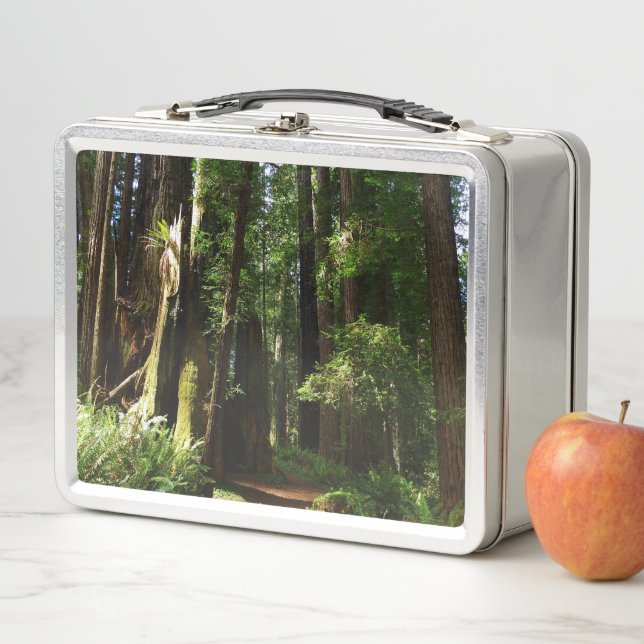 Redwoods and Ferns at Redwood National Park Metal Lunch Box (In Situ)