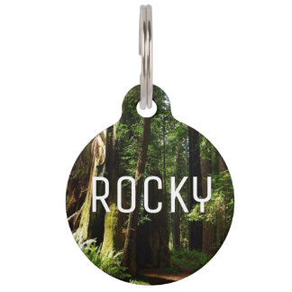 Redwoods and Ferns at Redwood National Park Pet Tag