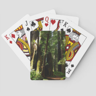 Redwoods and Ferns at Redwood National Park Playing Cards