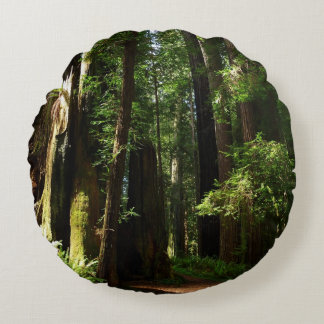 Redwoods and Ferns at Redwood National Park Round Cushion