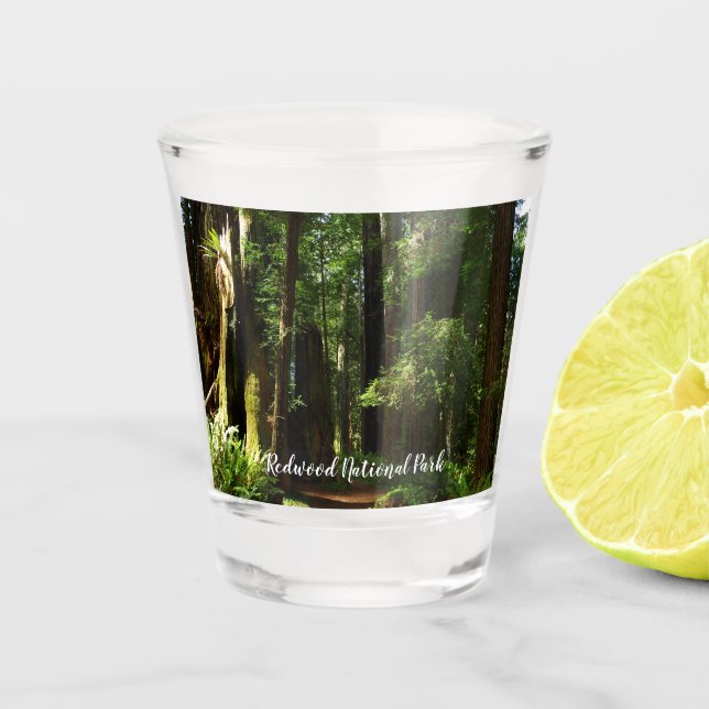 Redwoods and Ferns at Redwood National Park Shot Glass (Front)