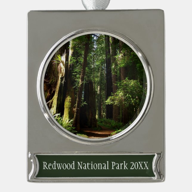 Redwoods and Ferns at Redwood National Park Silver Plated Banner Ornament (Front)