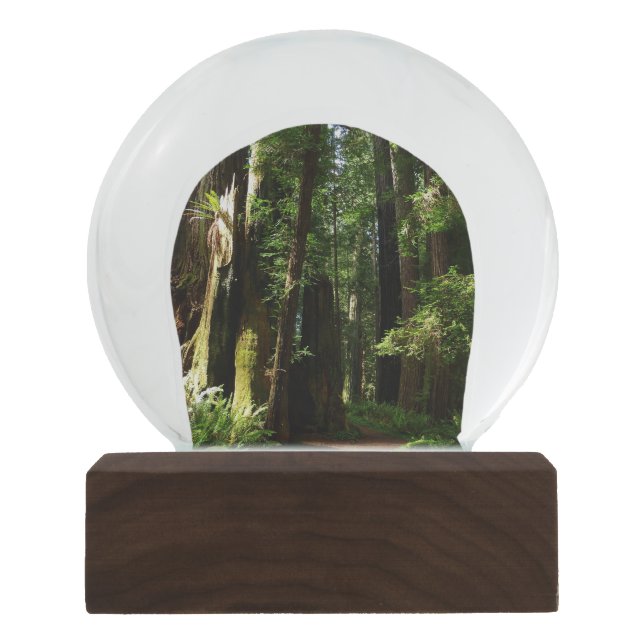 Redwoods and Ferns at Redwood National Park Snow Globe (Front)