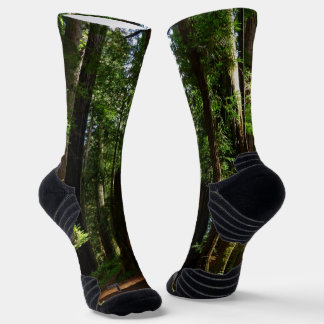 Redwoods and Ferns at Redwood National Park Socks