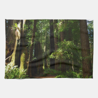 Redwoods and Ferns at Redwood National Park Tea Towel