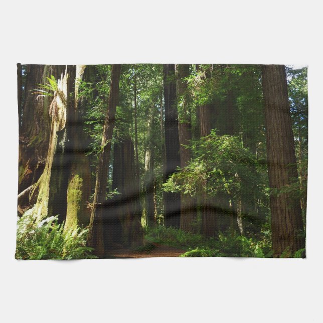 Redwoods and Ferns at Redwood National Park Tea Towel (Horizontal)
