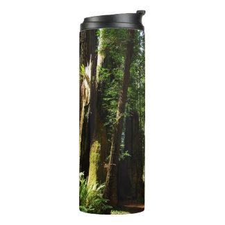 Redwoods and Ferns at Redwood National Park Thermal Tumbler