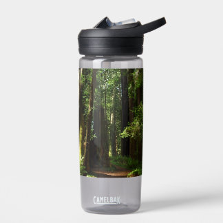 Redwoods and Ferns at Redwood National Park Water Bottle