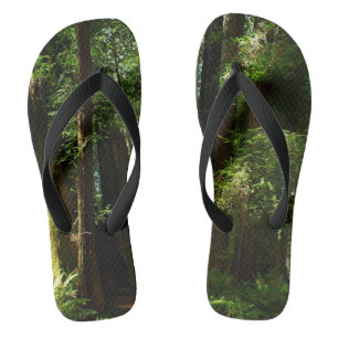 Redwoods and Ferns Jandals