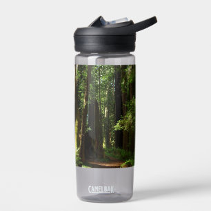 Redwoods and Ferns Water Bottle