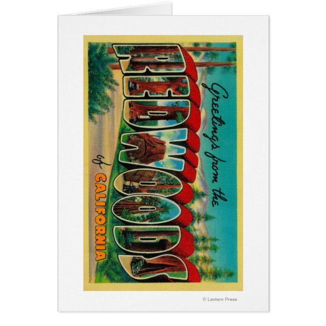 Redwoods, California - Large Letter Scenes (Front)