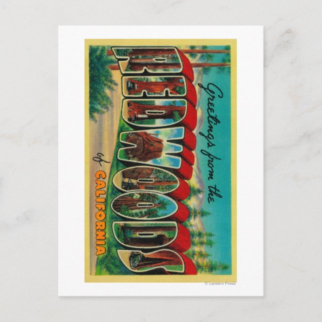 Redwoods, California - Large Letter Scenes Postcard (Front)