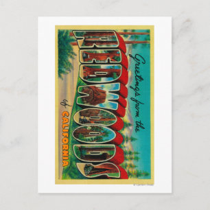 Redwoods, California - Large Letter Scenes Postcard
