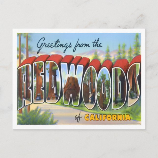 Redwoods, California Vintage Big Letters Postcard (Front)