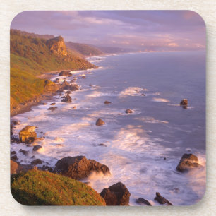 Redwoods coastline, California Coaster