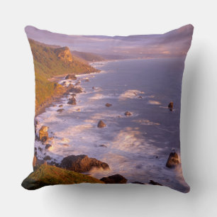 Redwoods coastline, California Cushion