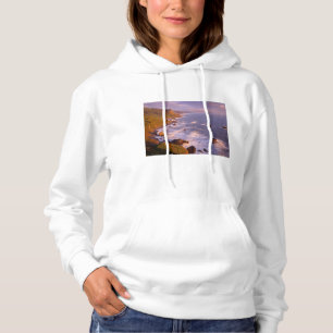 Redwoods coastline, California Hoodie