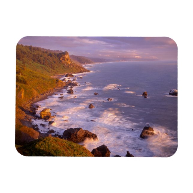 Redwoods coastline, California Magnet (Horizontal)