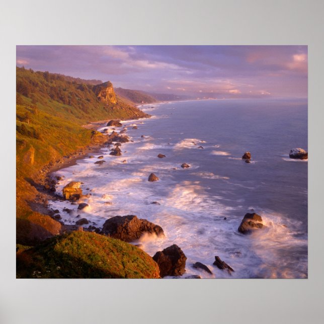 Redwoods coastline, California Poster (Front)