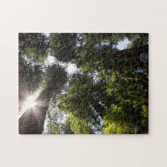 Redwoods, Humboldt Redwoods State Park Jigsaw Puzzle (Horizontal)