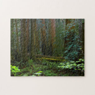 Redwoods In Muir Woods National Park Jigsaw Puzzle
