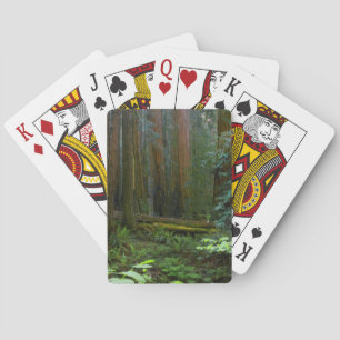 Redwoods In Muir Woods National Park Playing Cards