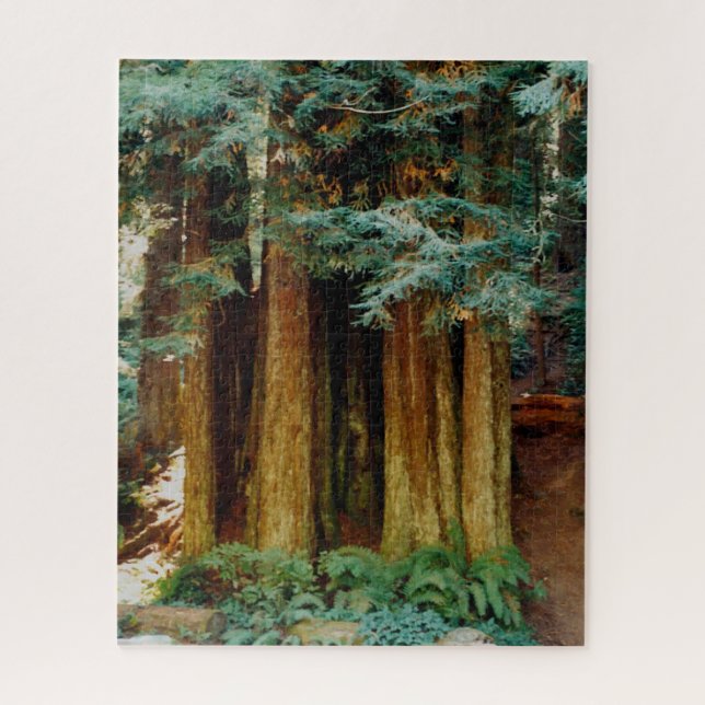 Redwoods Jigsaw Puzzle (Vertical)