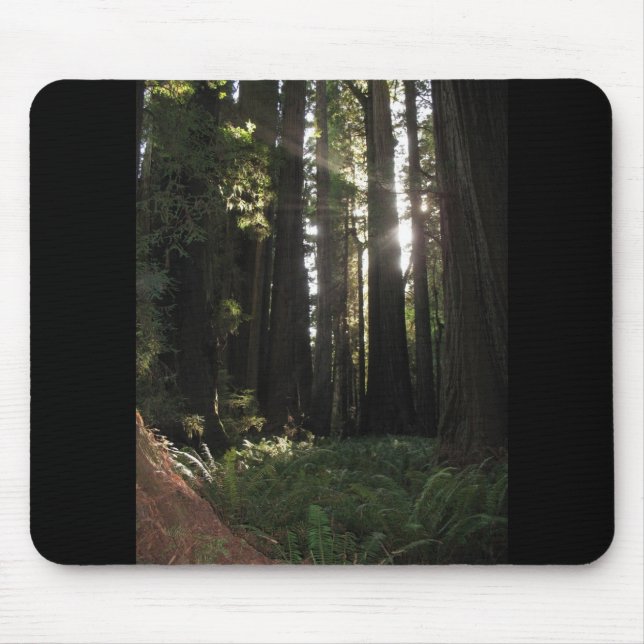 Redwoods Mouse Pad (Front)