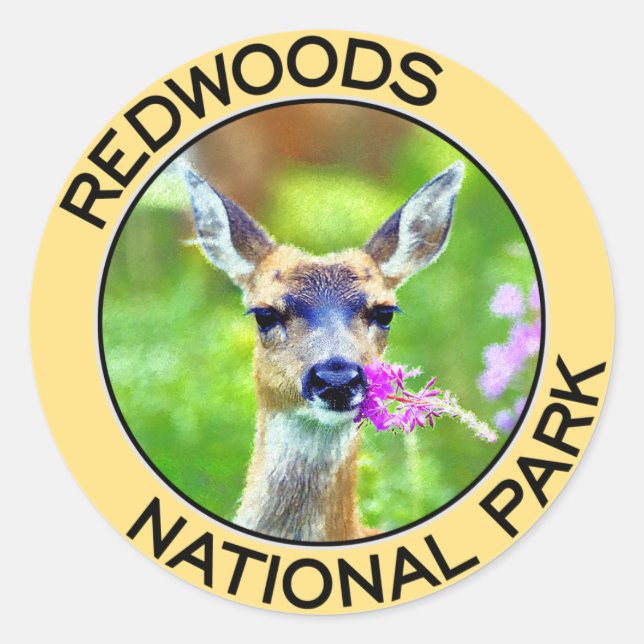 Redwoods National Park Classic Round Sticker (Front)