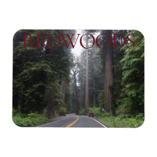 Redwoods National Park Magnet