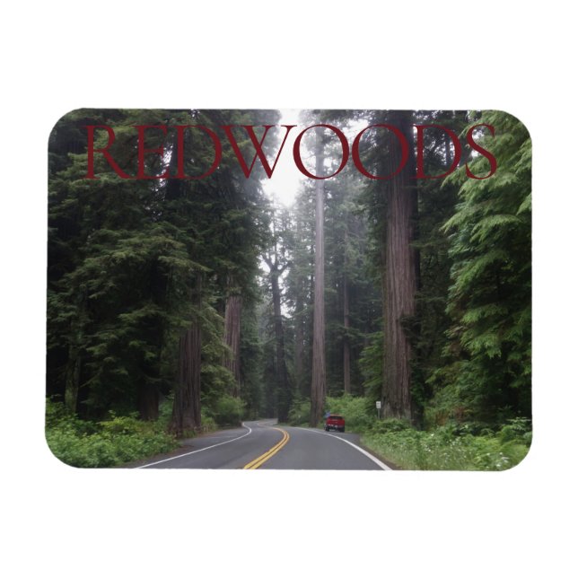 Redwoods National Park Magnet (Horizontal)