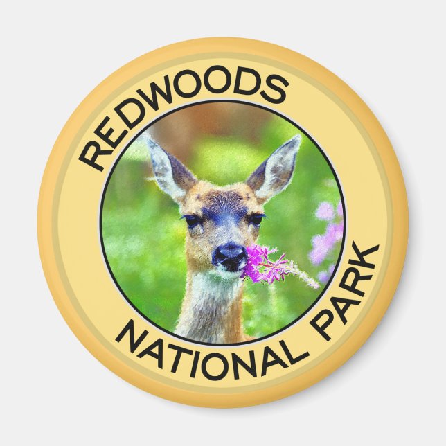 Redwoods National Park Magnet (Front)